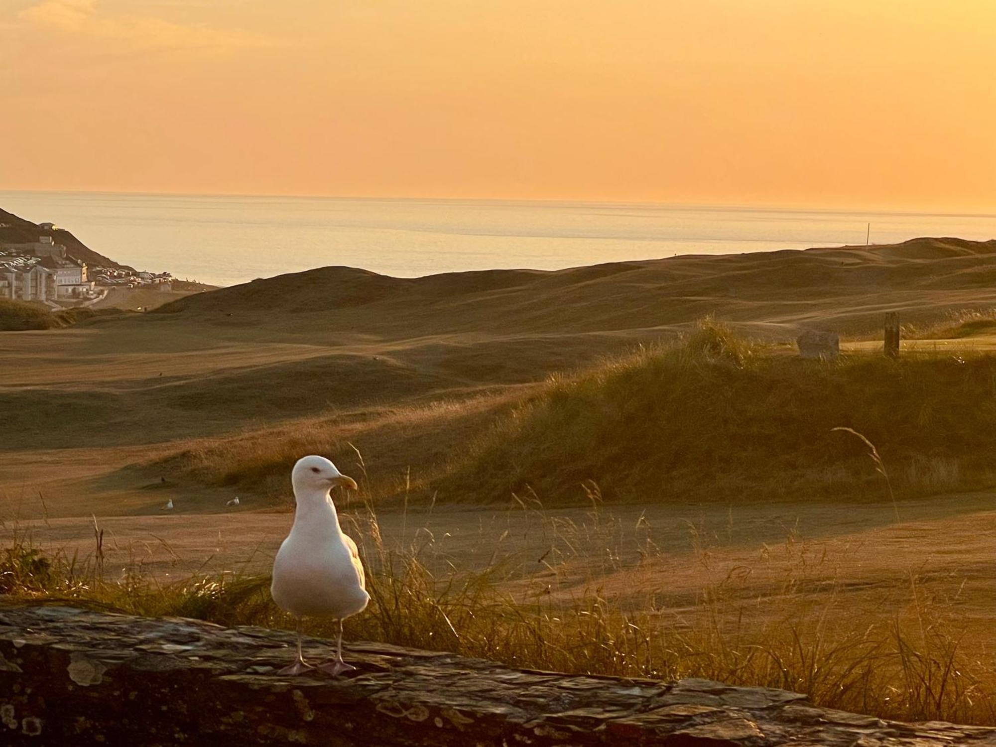 Perranporth Golf Club Self-Catering Holiday Accommodation エクステリア 写真